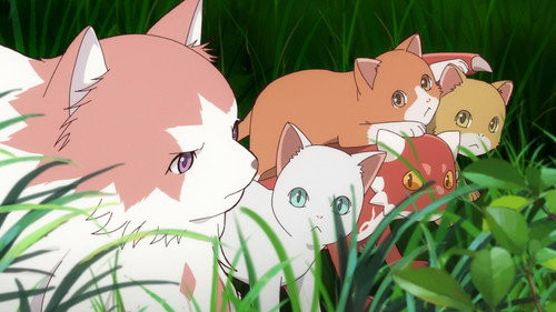 Neko to Ryū