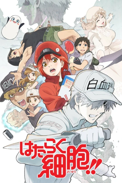 Hataraku Saibou 2