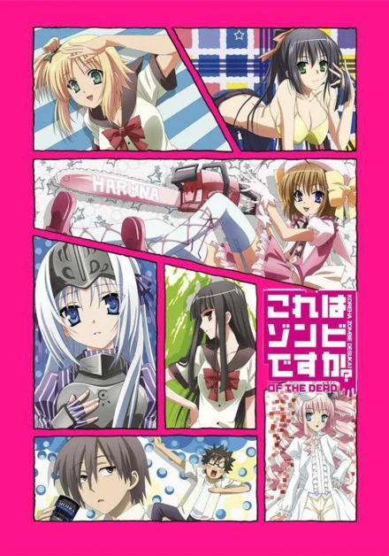 Kore wa Zombie Desu ka? of the Dead