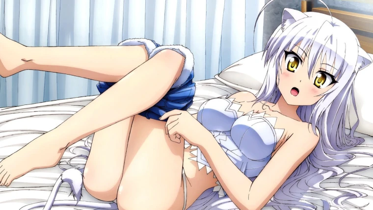 Dog Days 2