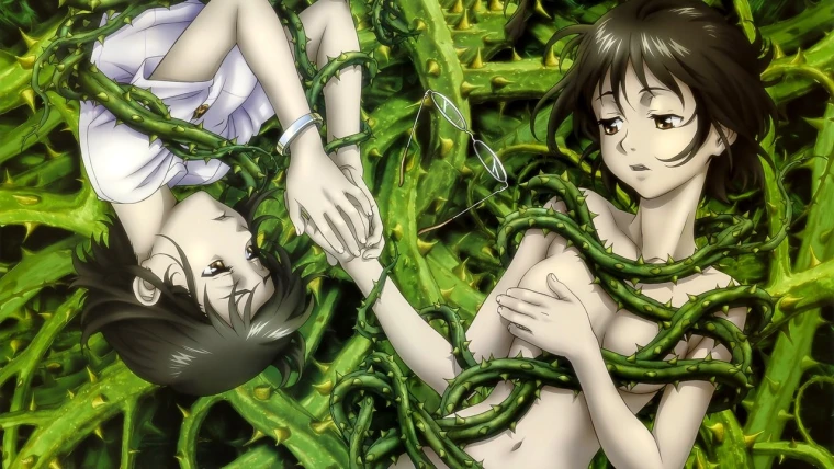 Ibara no Ou