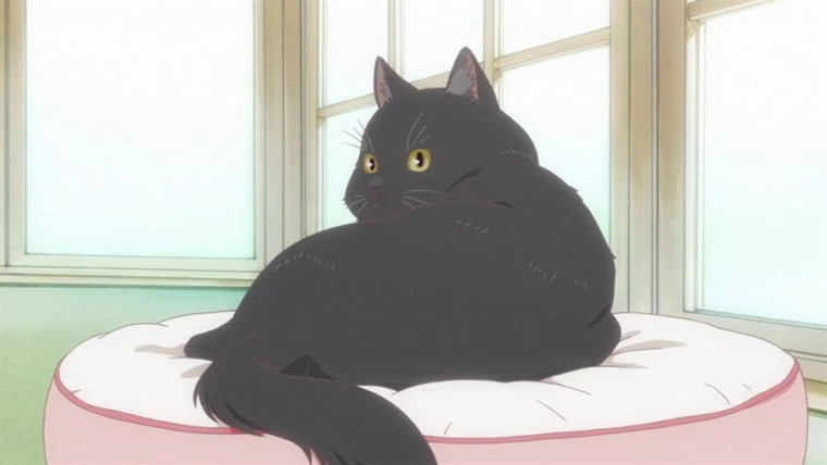 Kanojo to Kanojo no Neko