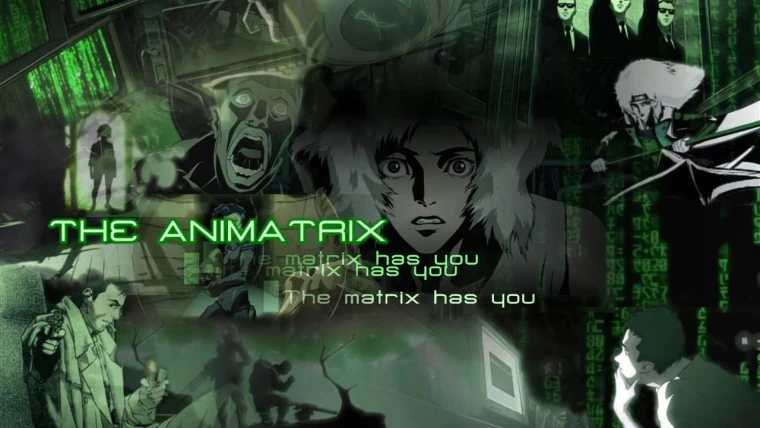 The Animatrix