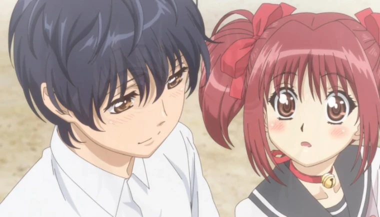Tokyo Mew Mew New ♡ 2nd Season